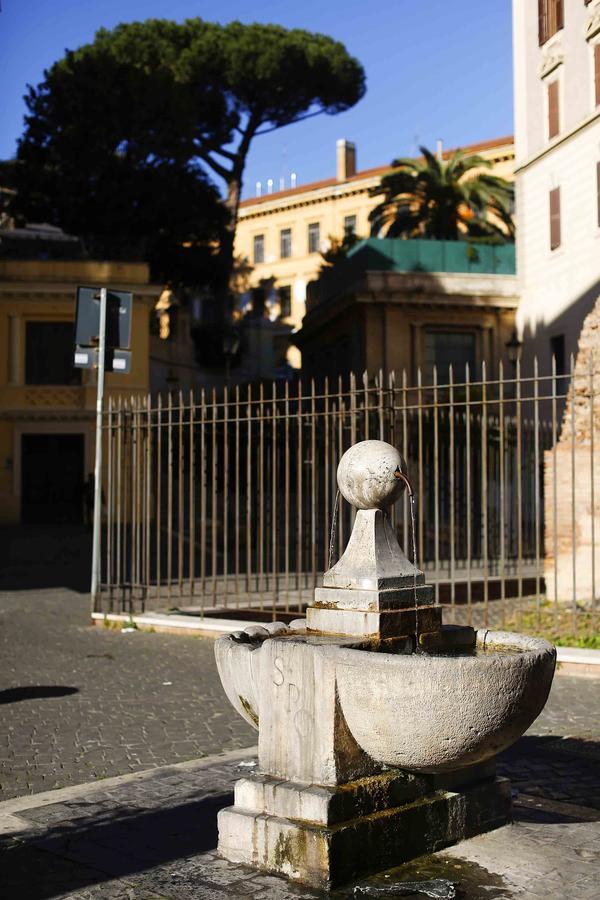 Coliseum *