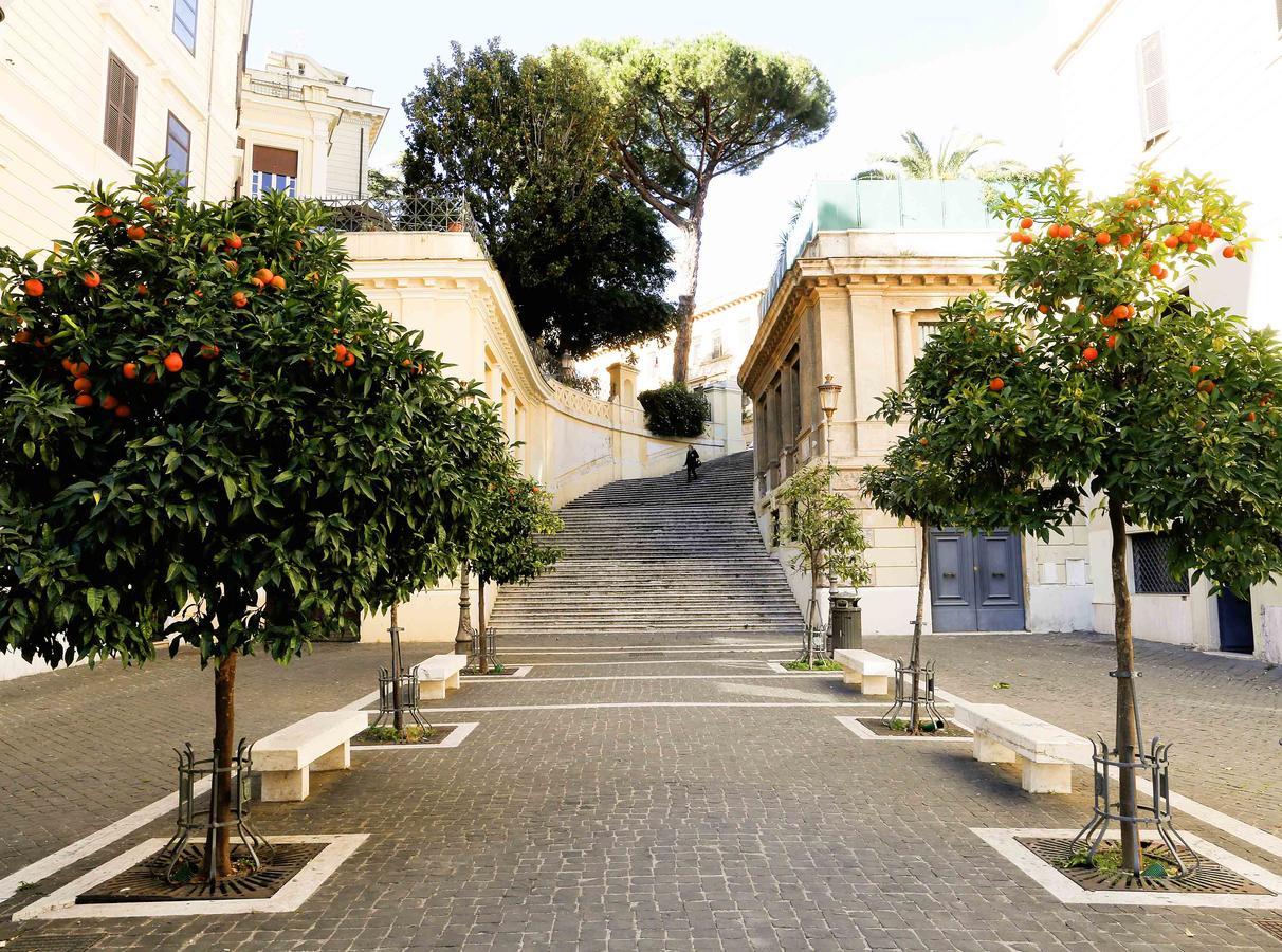 Coliseum Apartamento Roma